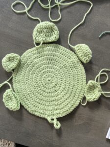 onderkant schildpad