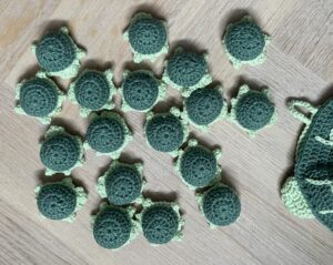 kleine schildpadjes 