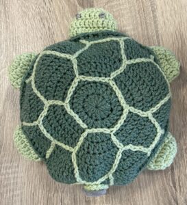moeder schildpad van het schildpad memory
